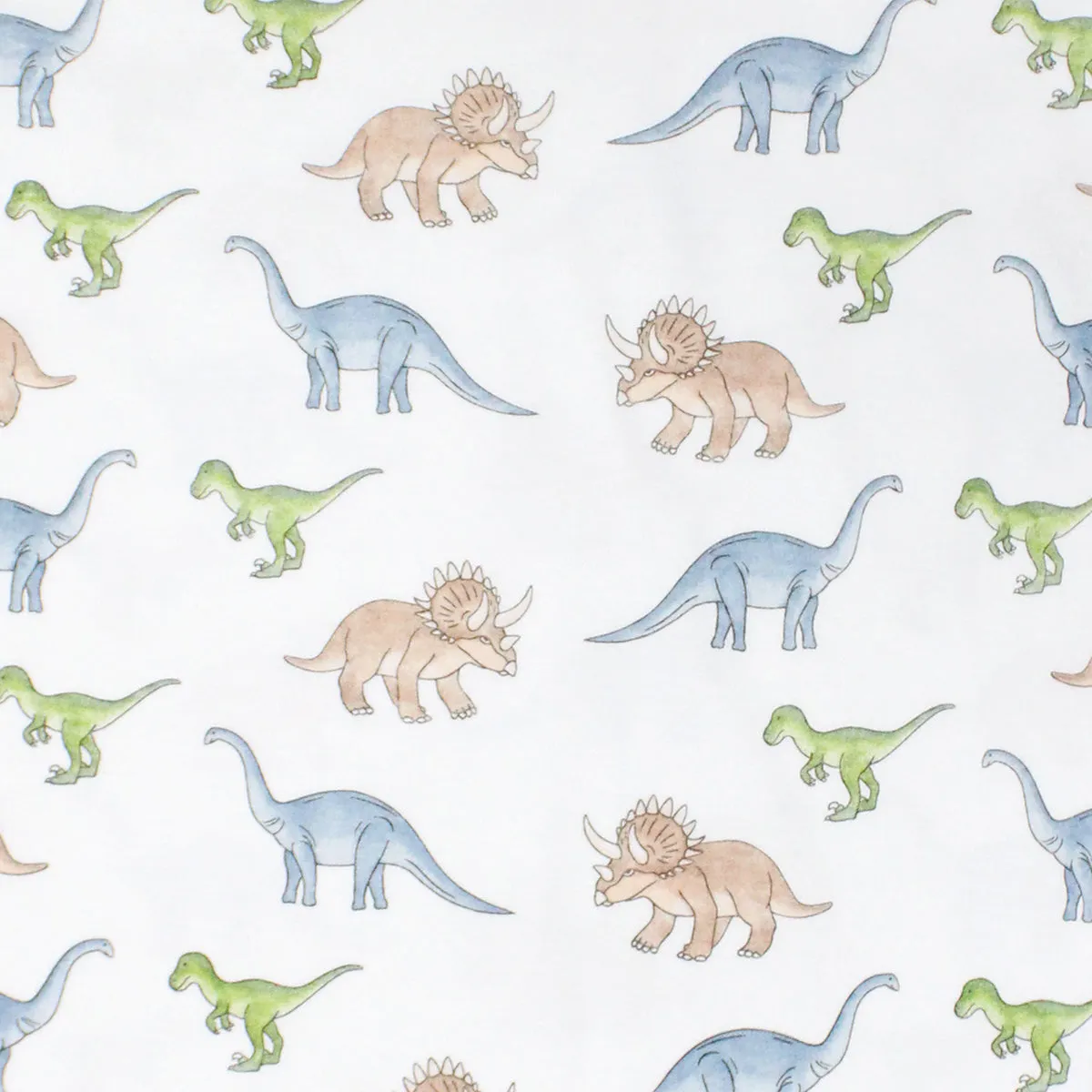 Big Dinos Printed Pajama | Boy